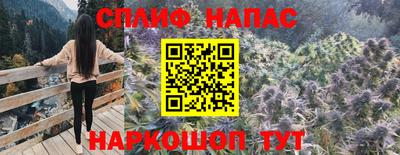 трава Гудермес