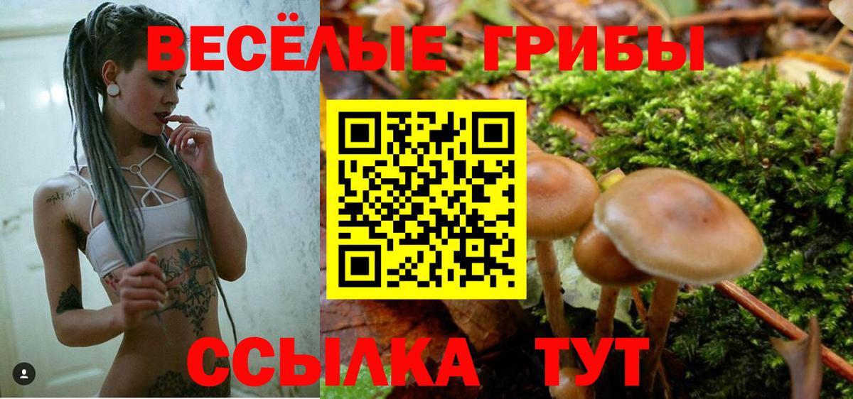 закладка  Вход с VPN  Ахтубинск  Галлюциногенные грибы GOLDEN TEACHER 